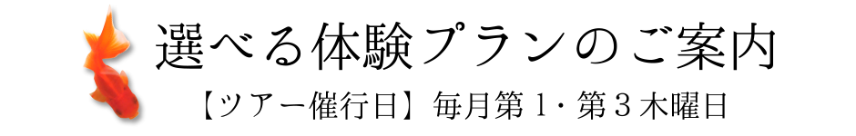 選べる体験プランのご案内【ツアー催行日】毎月第1・第3木曜日