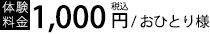 体験料金　1,000円（税込）/おひとり様