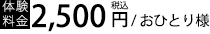 体験料金　2,500円（税込）/おひとり様