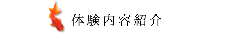 体験内容紹介
