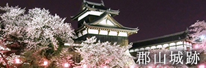 郡山城跡